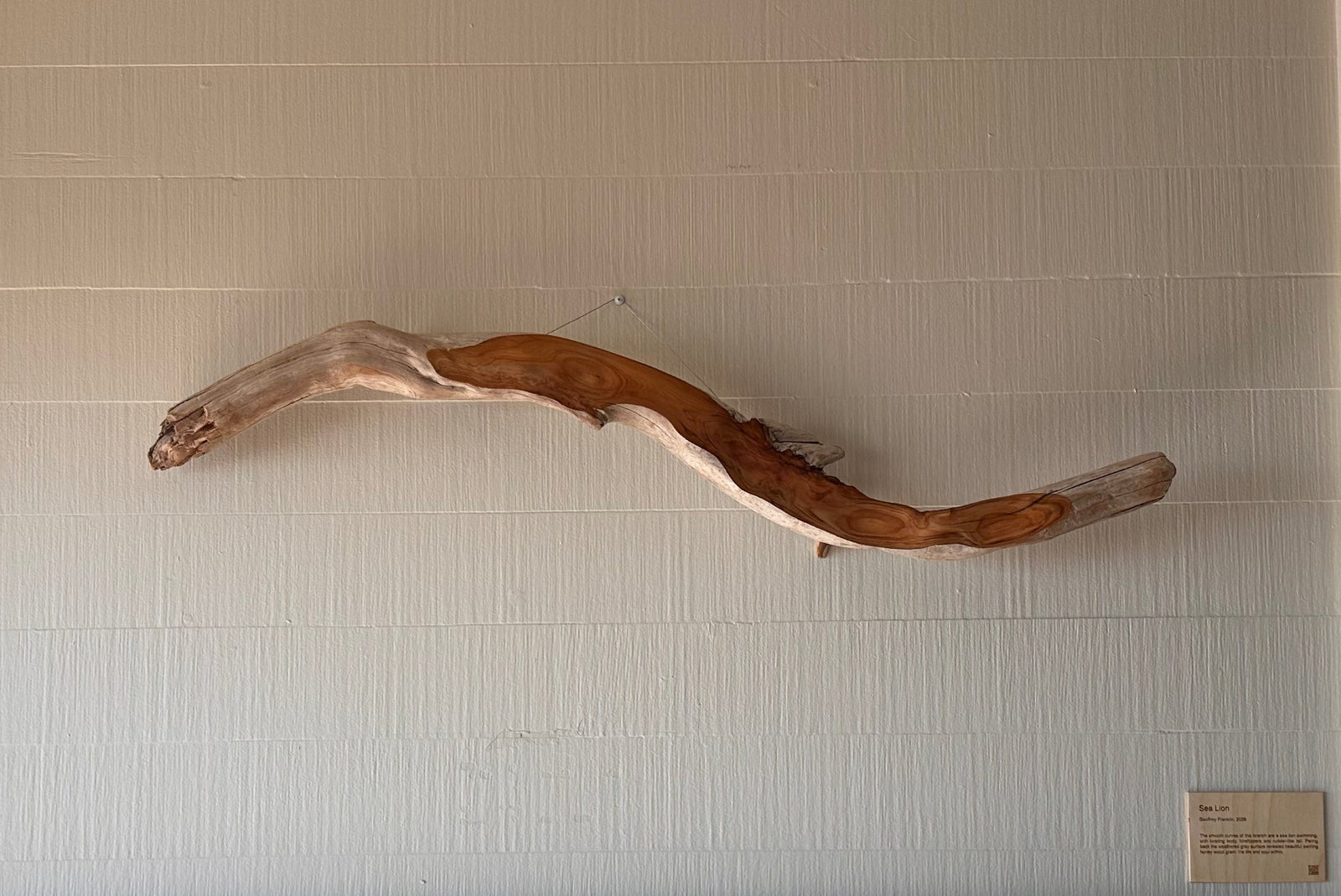 Driftwood piece on a wall above a fireplace