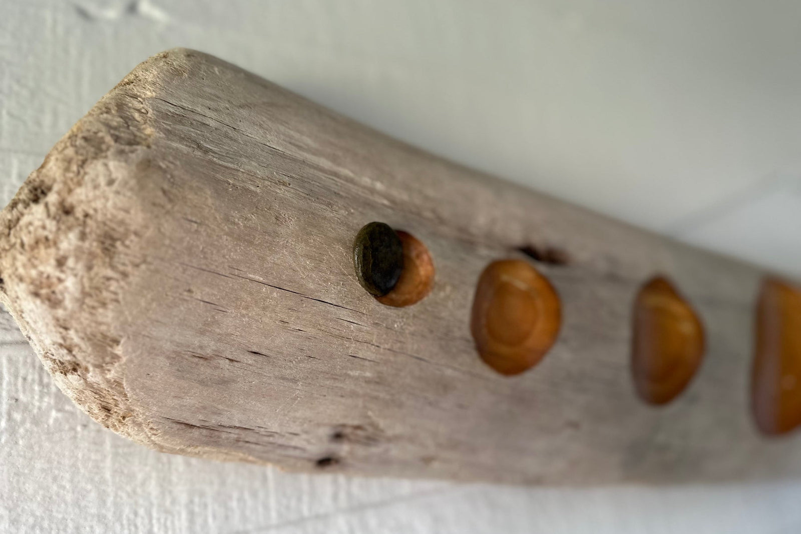 Close-up of driftwood with a smooth dark round skipping stone attached on a white background