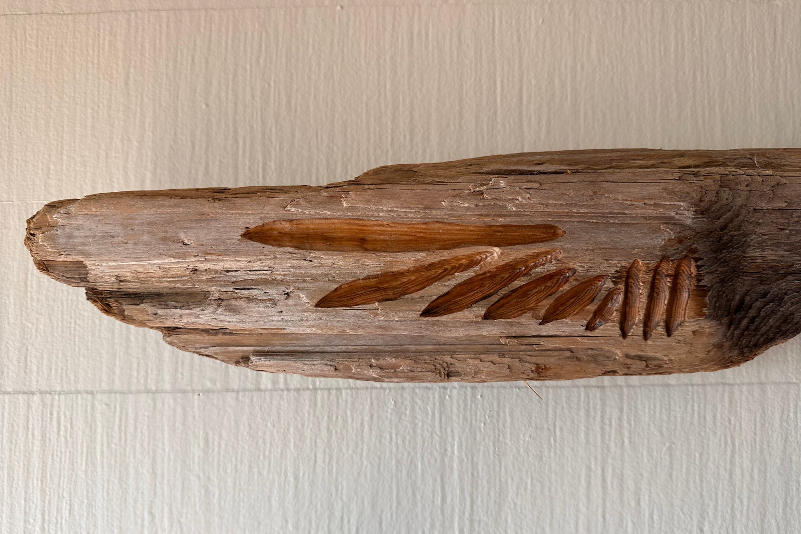 Close-up of a wooden carving of feathers on a wind of driftwood on a plain background