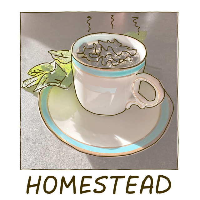 A teacup and saucer with steam, garden-grown mint sprig and dried herbal tea leaves in the background with hand-drawn lines on top emphasizing certain features and the handwritten word 'Homestead'.