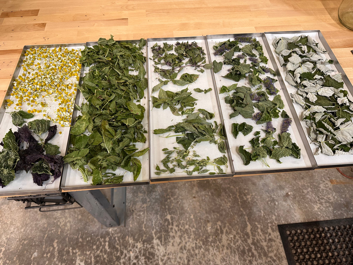 Garden-Grown Herbs and Tea