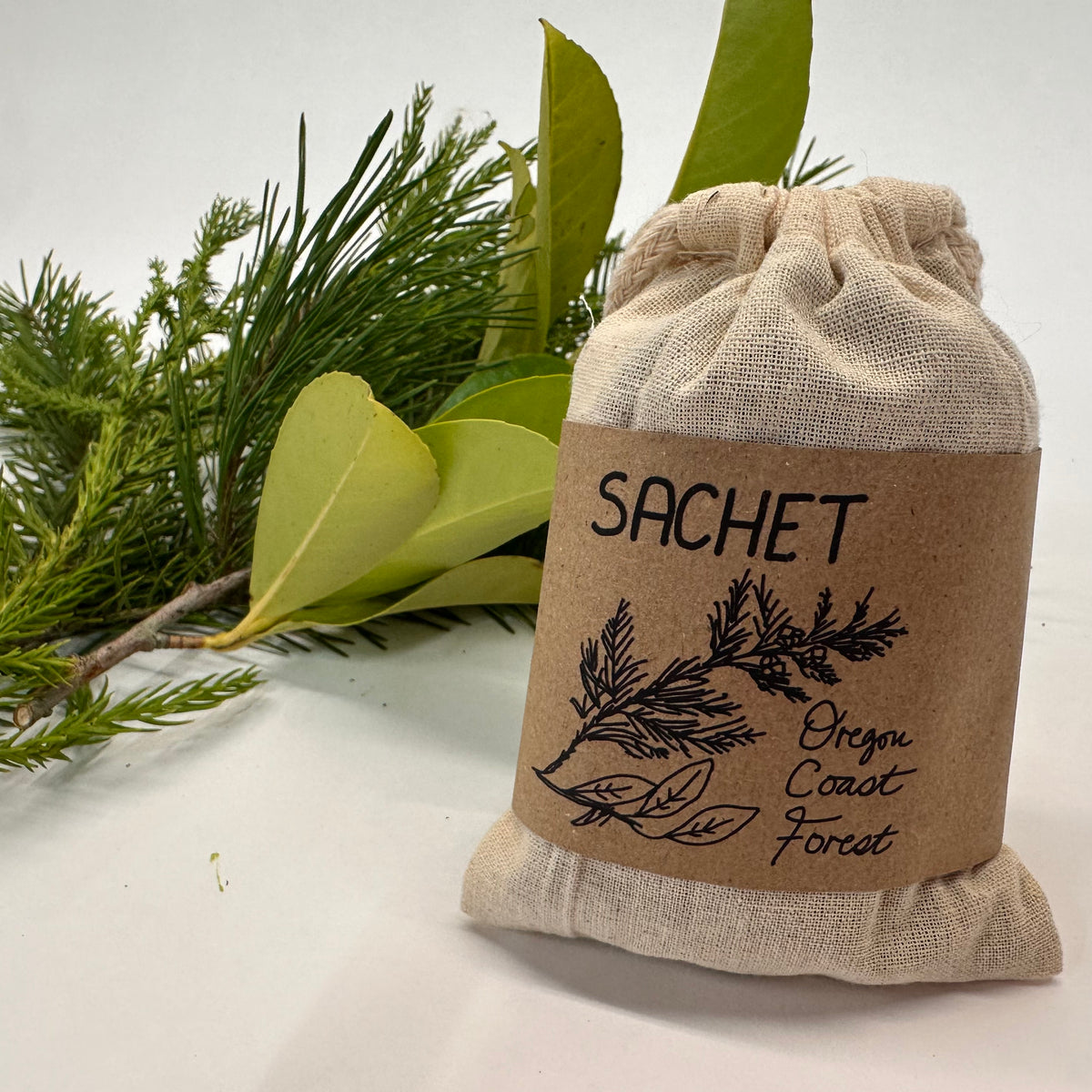 Sachet bag labeled 'Oregon Coast Forest' with green foliage on a white background