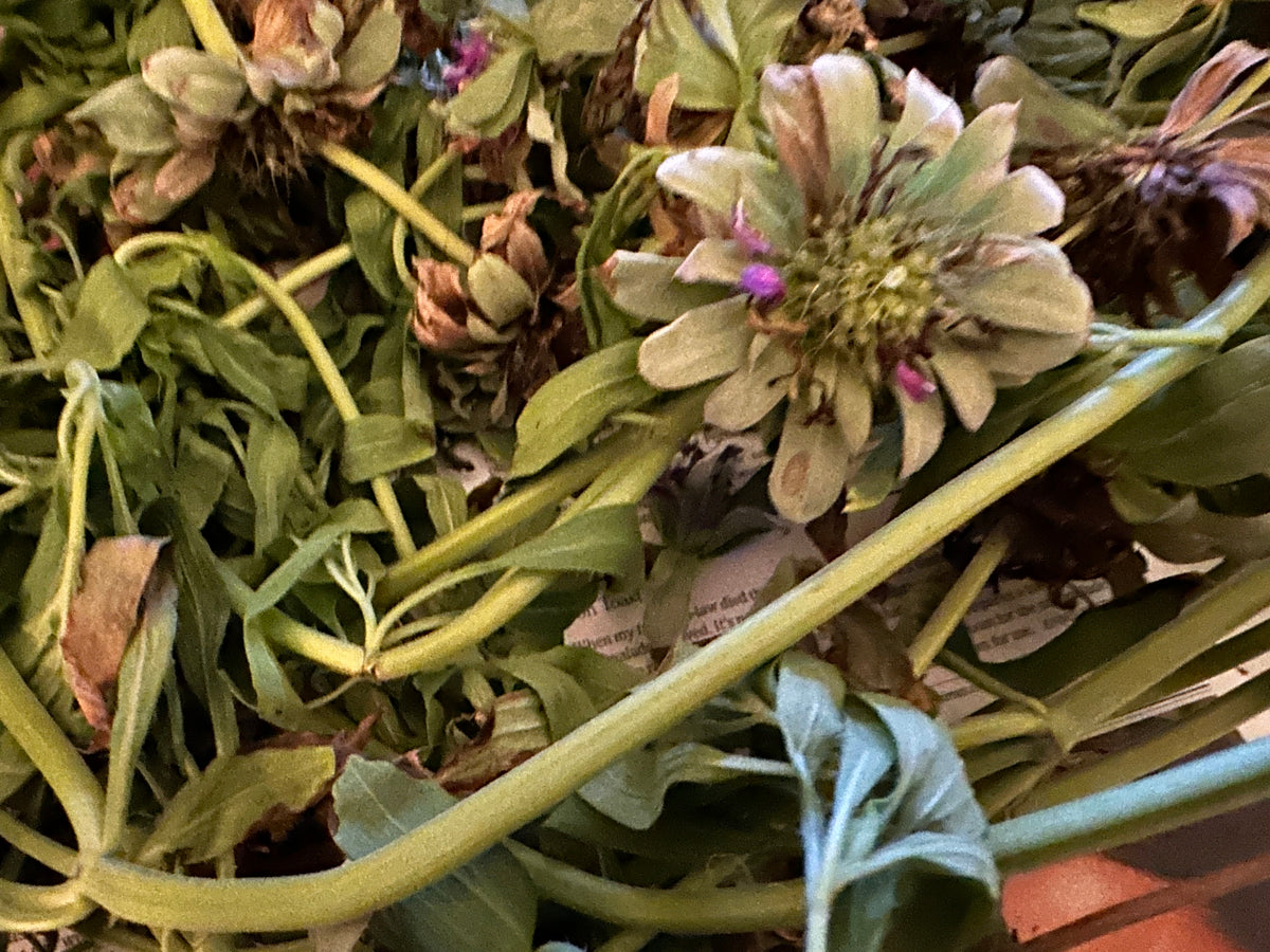 Garden-Grown Herbs and Tea