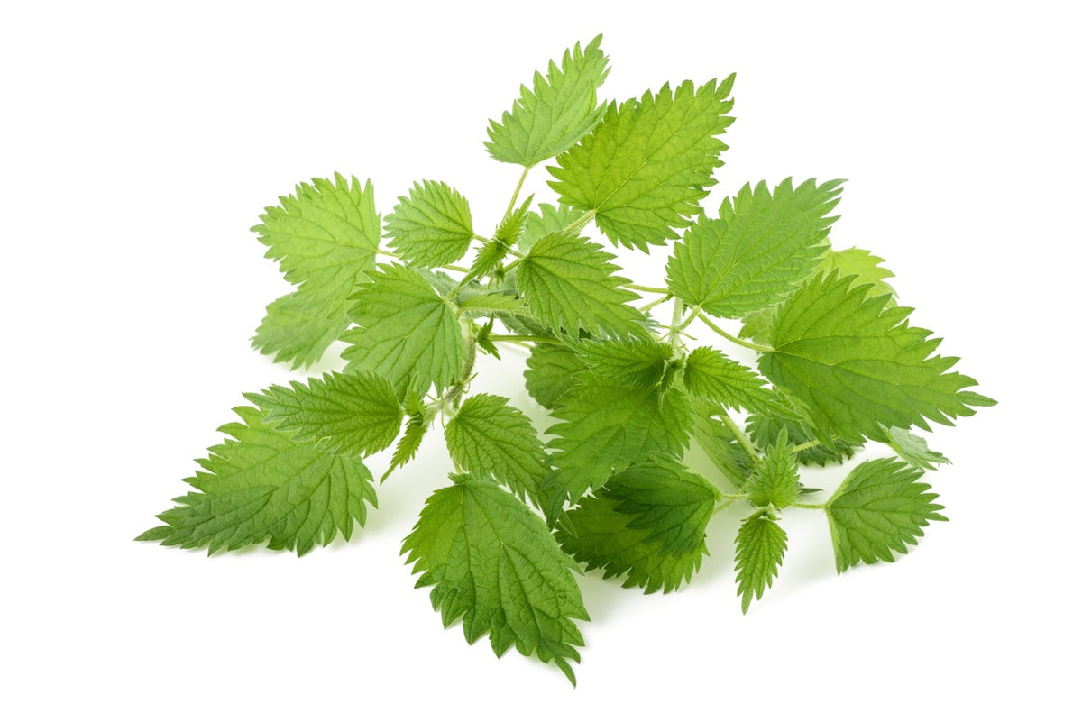 Garden-Grown Herbs and Tea