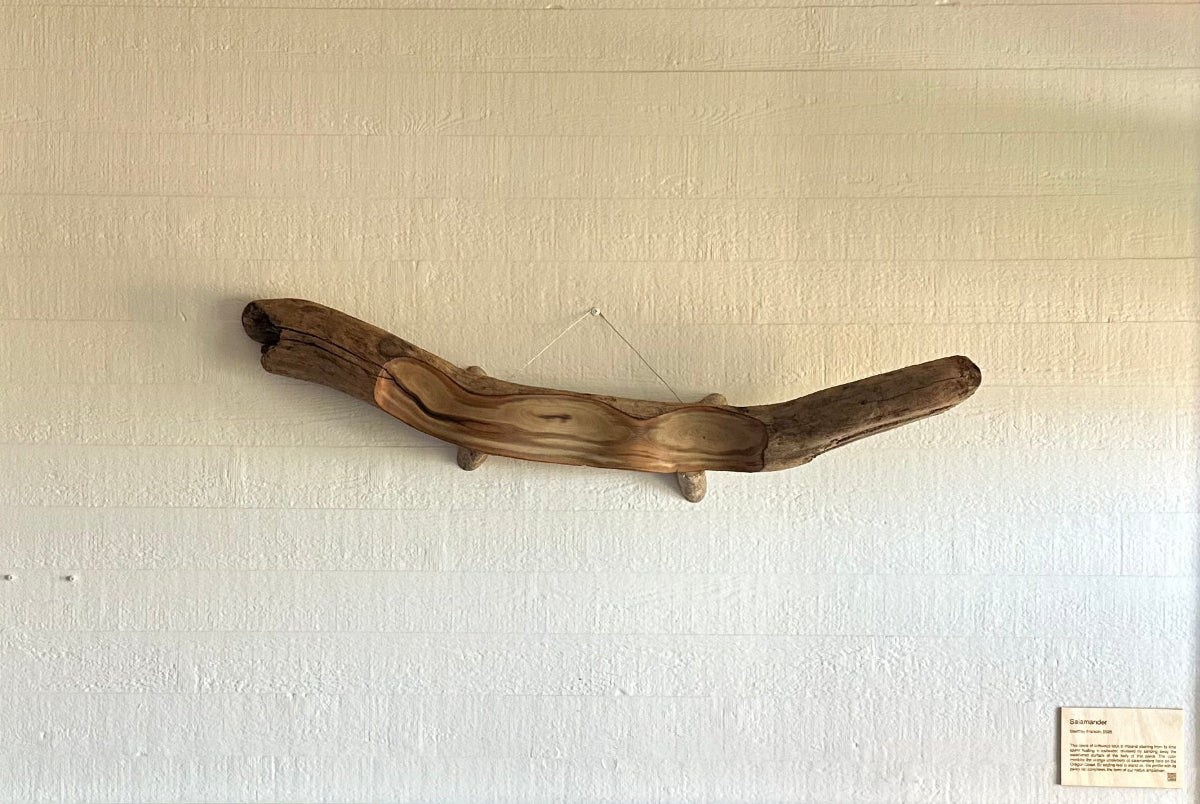 A lively natural driftwood art piece hanging on a white wall in a hotel room