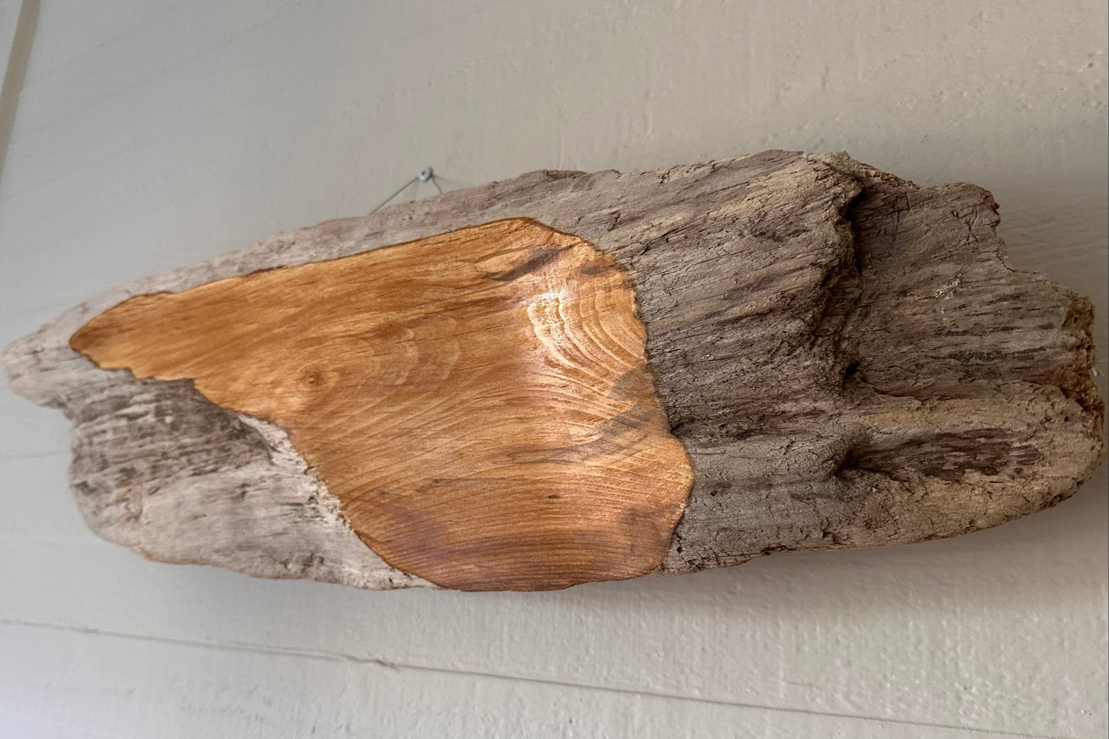 Driftwood piece with a sanded surface showing honey wood underneath, on a white surface