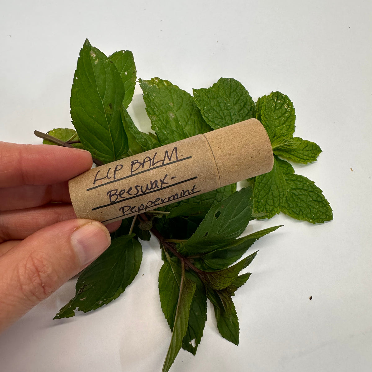 Hand holding a cardboard lip balm tube with label 'Beeswax Peppermint' on bed of mint leaves