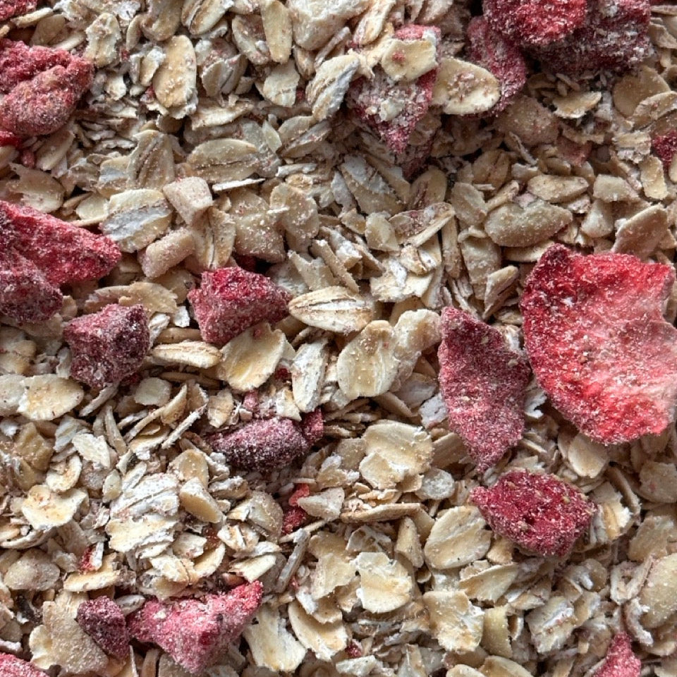 Close-up of dry instant oatmeal mix chock full of freeze-dried strawberry pieces, cashews, white chocolate pieces, and whole grain flax and chia seed