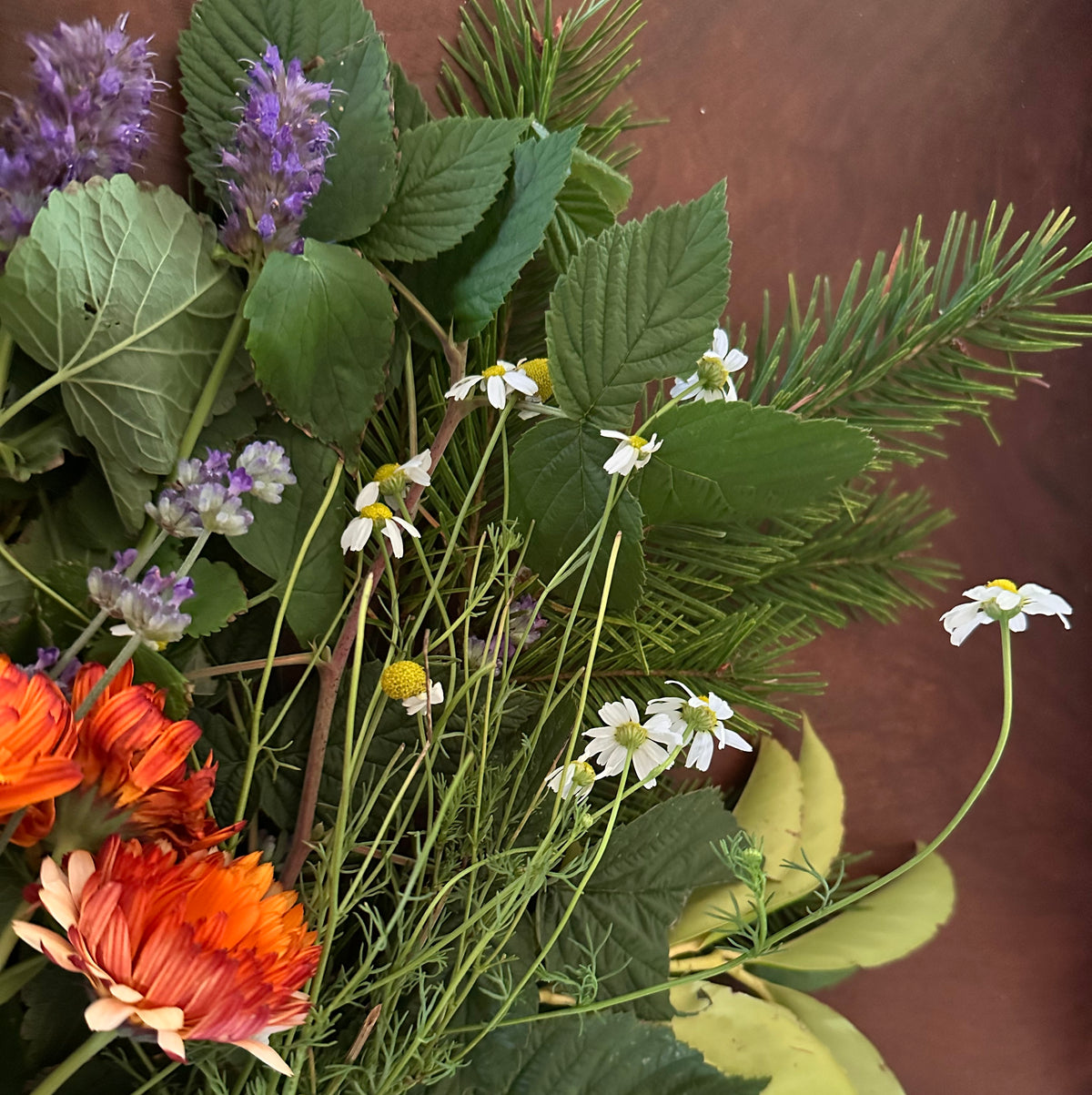 Bouquet of flowers and conifer branches with green leaves and flowers on a walnut wood tabletop